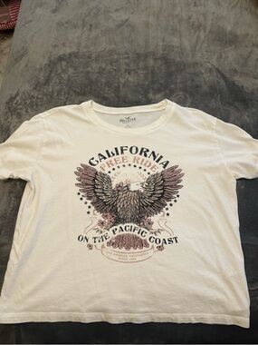 Hollister White Graphic Crop Top with Black and Pink Eagle Print